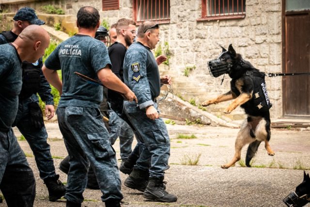 Mestska policia vycvikove stredisko 3.jpg