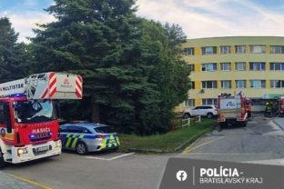 Psychiatria policia hasici zachranka pomoc poziar.jpg