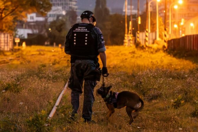 Mestska policia pomoc zachrana.jpg