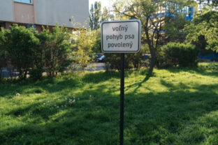 Volny pohyb psov psy nove mesto.jpg