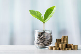 Glass jar filled with coins and a small seedling in the center, with stacks of coins arranged from smallest to largest on a table. Highlights the concept of saving and financial growth