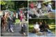 Bratislavsky dobovy piknik.jpg