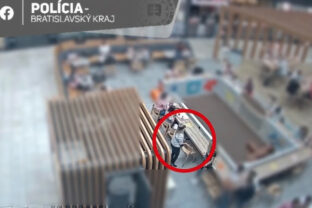 Zlodejky polícia