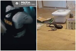 Bratislava drogy di ler razia.jpg