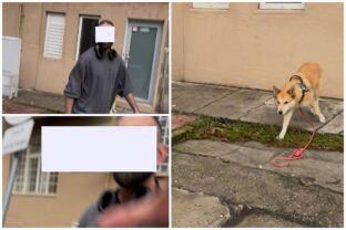 Bratislava napadnutie psom.jpg