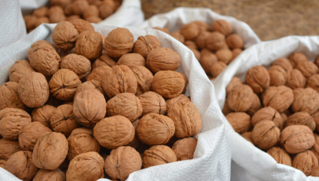 skladovanie vlašských orechov