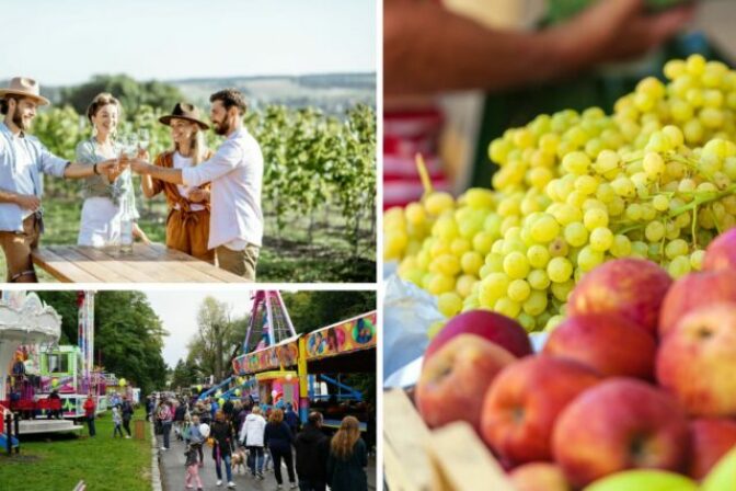 Kolaz foto 4 640x427 1.jpg