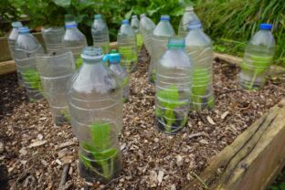 využitie pet fliaš v záhrade