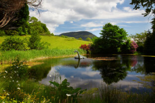 Lochnesská príšera