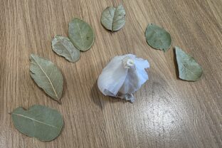 Sedem strúčikov cesnaku a sedem bobkových listov