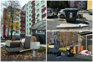 Bratislava dubravka poriadok neporiadok odpad.jpg