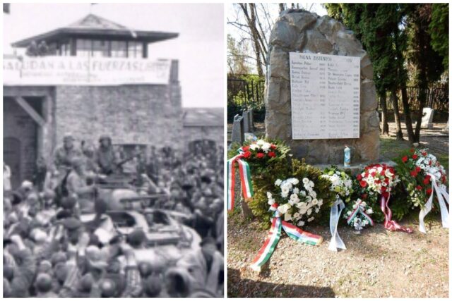 Bratislava engerau.jpg