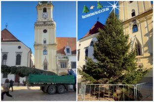 Bratislava stromcek.jpg