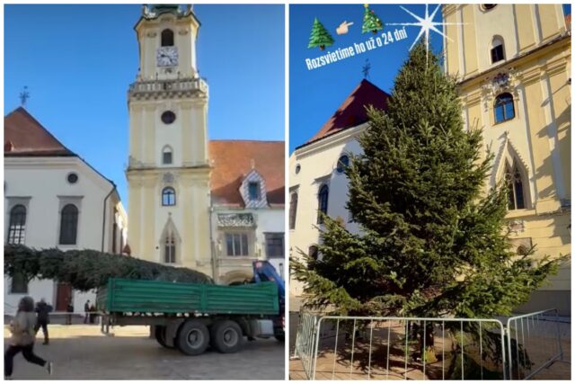 Bratislava stromcek.jpg