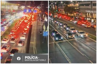 Bratislava za pchy.jpg