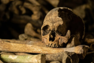 pozostatky ľudských kostí