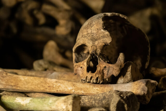 pozostatky ľudských kostí