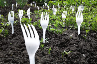 Plastové vidličky v záhone