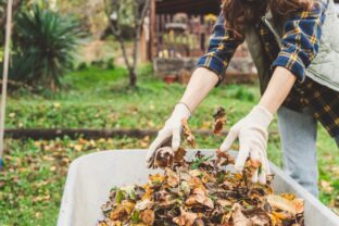 Jesenná údržba záhrady