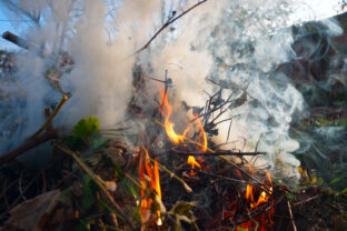 spaľovanie lístia na záhrade