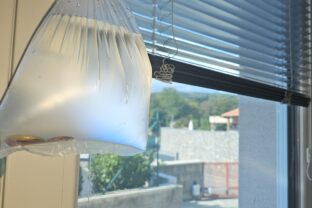 Svokra zavesila do okien sáčky s vodou