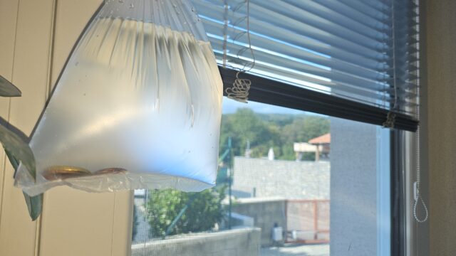 Svokra zavesila do okien sáčky s vodou