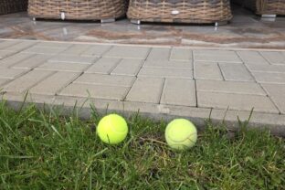 tenisové loptičky na záhrade