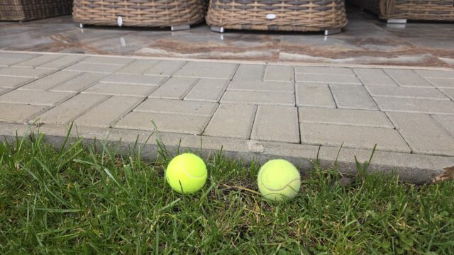 tenisové loptičky na záhrade
