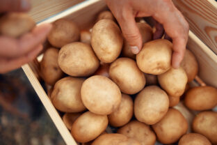 skladovanie zemiakov