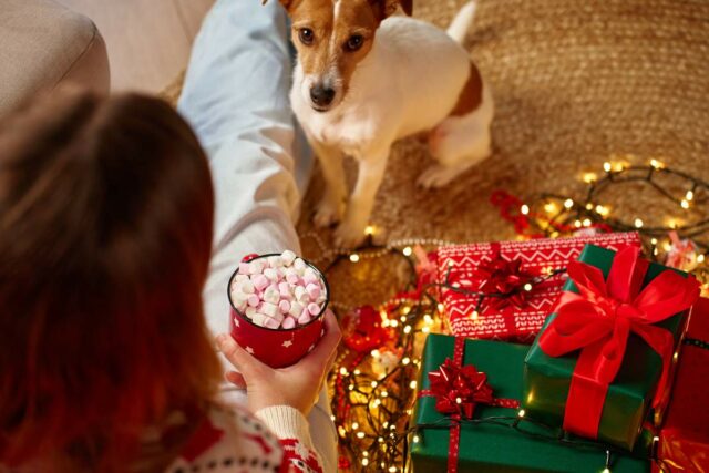 Pes vianoce jedlo pozor otrava veterina