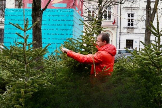 Foto vianoce stromček