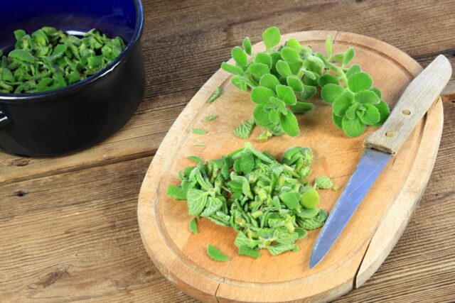 Nadchovnik foto 3.jpg