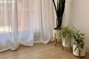 Rastliny cisticky vzduchu izby byt .jpg