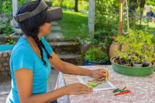 plánovanie záhrady