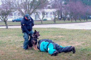 Messtská policia Bratislava