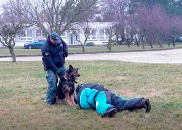 Messtská policia Bratislava
