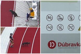 Bratislava dubravka zakaz so psami.jpg