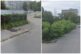 Bratislava zavodna podunajske biskupice.jpg