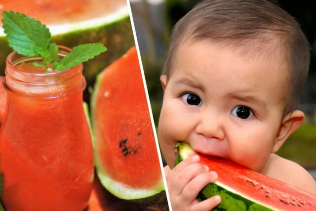 Foto melon leto