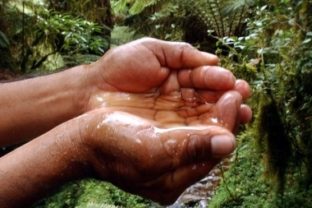 Raj na zemi _ príroda