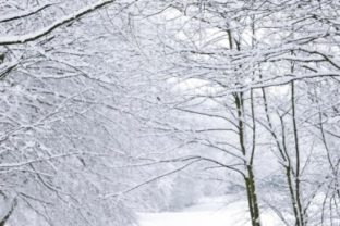 Anglicko pokryla snehová perina