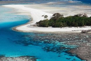 Veľký bariérový útes