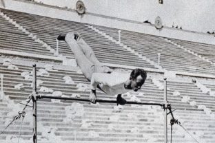 Hermann Weingärtner