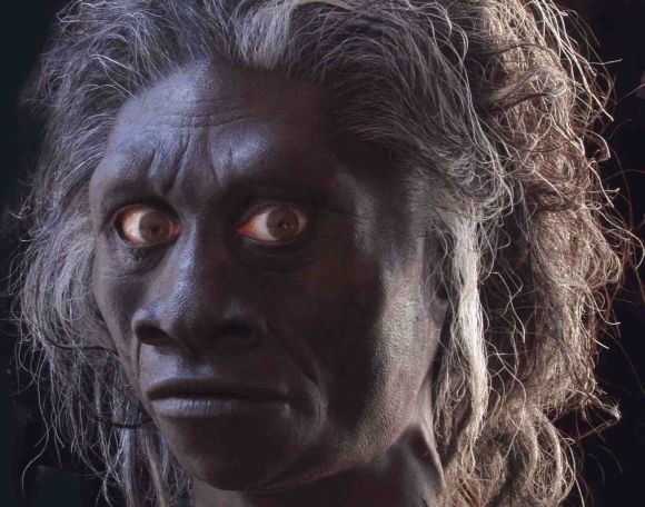 Homo floresiensis