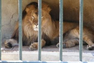 ZOO, Spišská Nová Ves