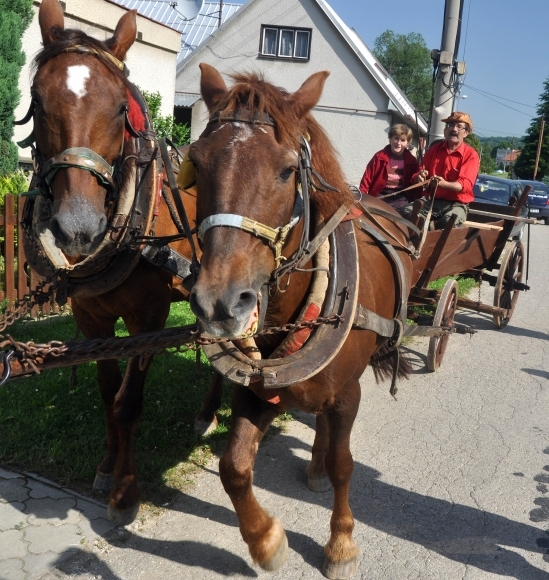 Miklánek