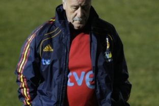 Vicente del Bosque