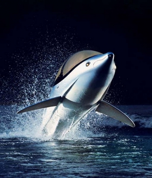 Innespace Productions Seabreacher - Galéria 1