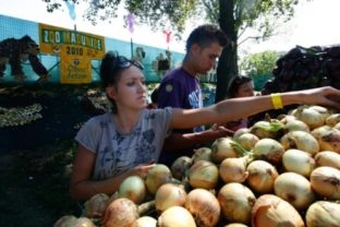 Madunice_cibuľa_zoo