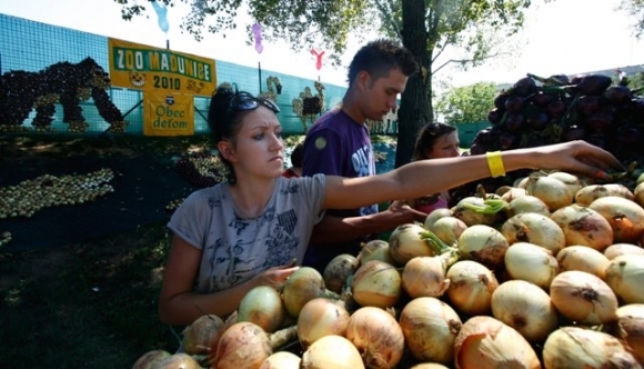 Madunice_cibuľa_zoo